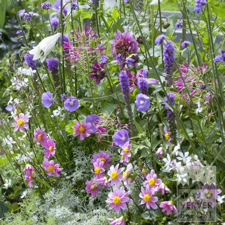 Summer Trams Verver 'Bouquet Estival Romantique' © / 5 m² (29311) - Image 2